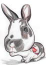 Black & White Caricatures